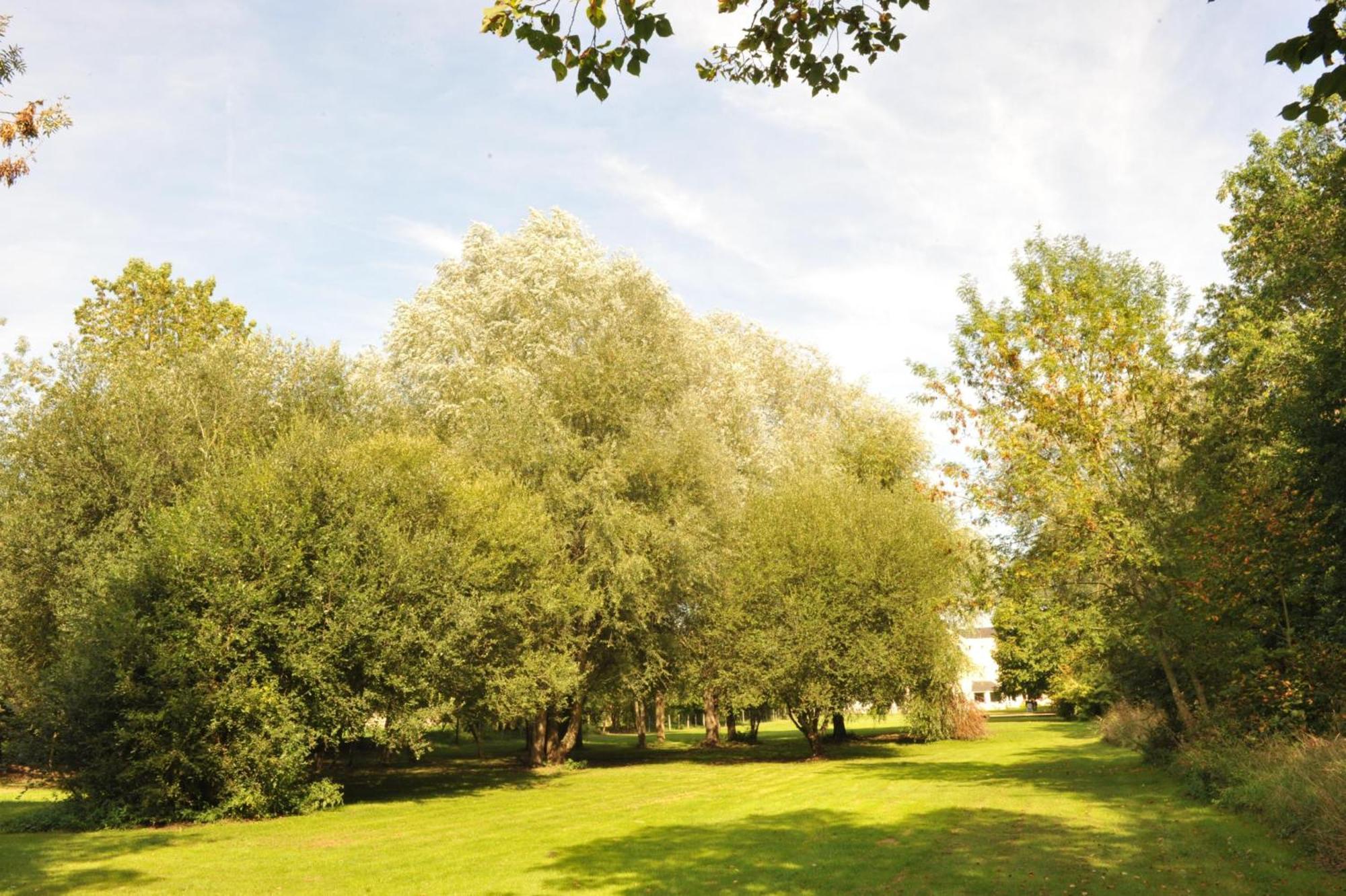 Logis Hotel Le Relais Du Moulin Valençay 외부 사진